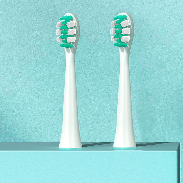 Змінні насадки Jimmy Toothbrush Head for T6 2 шт 1N950001E 101291 фото